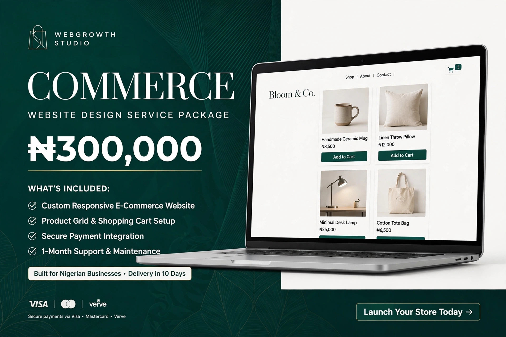 E-commerce Website Package — Custom Your Website With Us