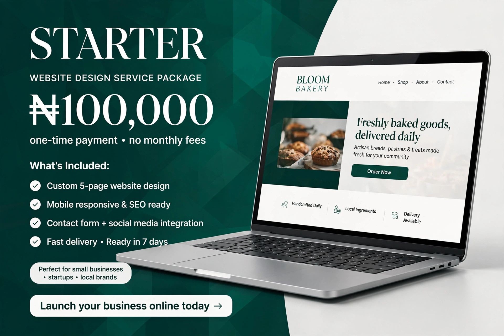 Starter Business Website — Custom Your Website With Us